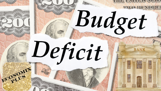 What is the Relationship Between the Central Bank and Government Fiscal Deficit? - economix plus